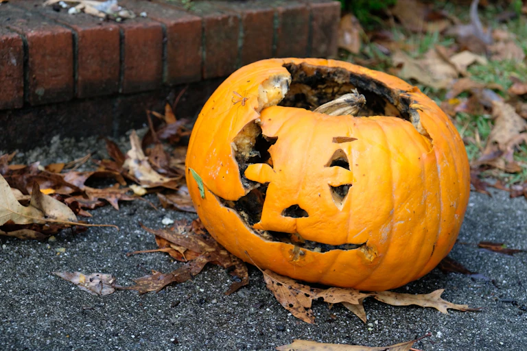 rotting old pumpkin