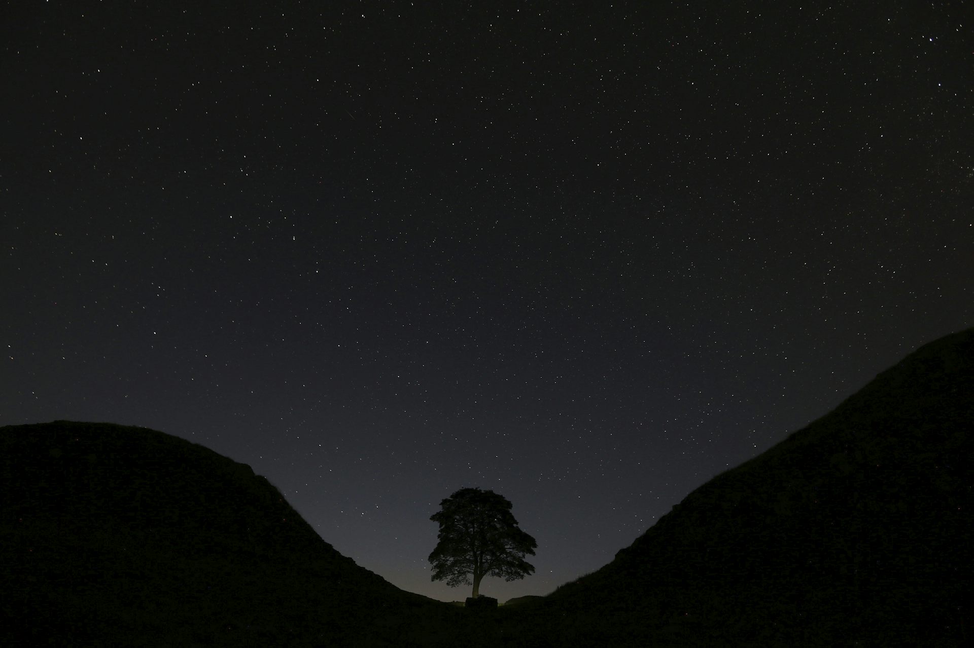 A lone tree stands in a u-shapted ravine beneath a starry sky.