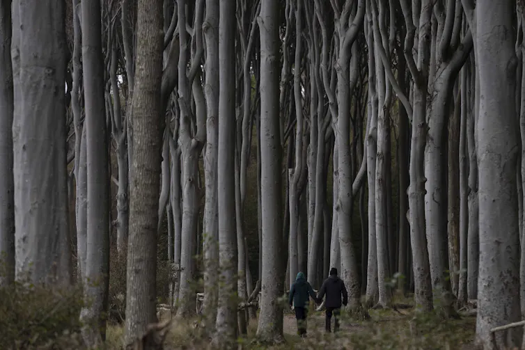 A couple holding hands walk through a forest.