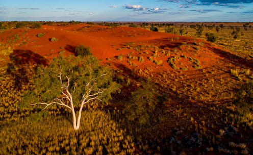 We must assess 'cumulative impacts' to protect nature from death by a thousand cuts