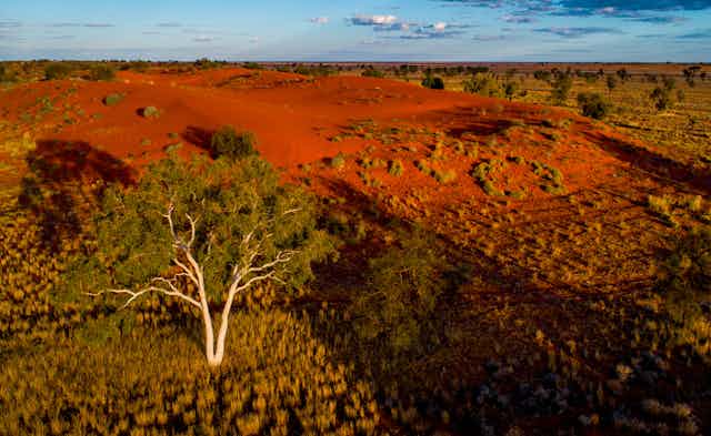 Aerial image of a landscape with red sand dunes, eucalypts and a blue sky