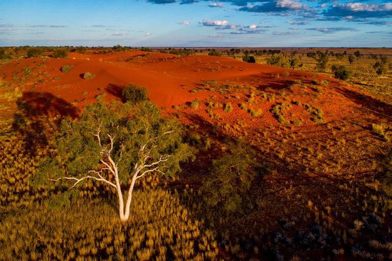 Aerial image of a landscape with red sand dunes, eucalypts and a blue sky