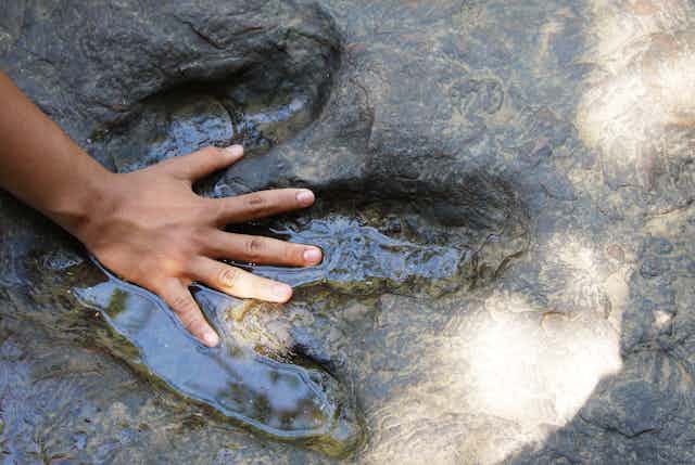 Human hand compared with dinosaur footprint on rock