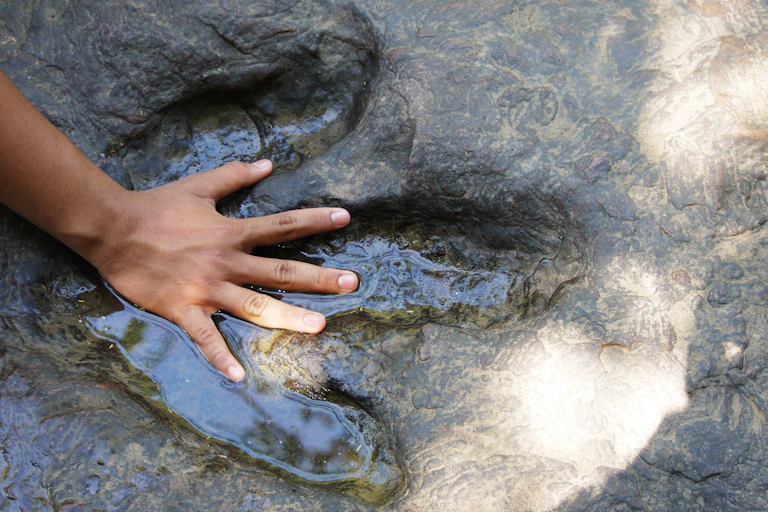 Human hand compared with dinosaur footprint on rock