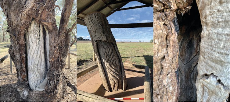 A triptych of photos of carved trees with different patterns.