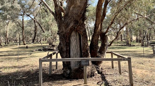 Wiradjuri Elders share the hidden stories of 'marara_ and _dhabuganha'