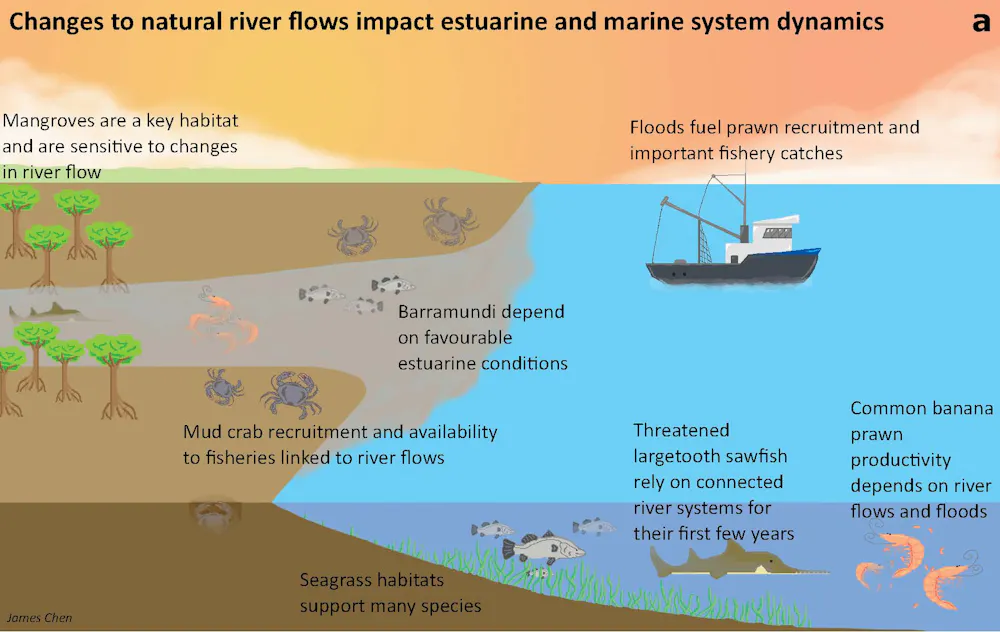 Taming Wild Northern Rivers Could Harm Marine Taming Wild Northern Rivers Could Harm Marine