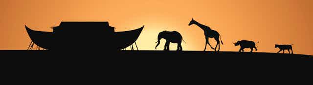 Noah's Ark silhouette with animals walking toward it. Includes an elephant, giraffe, rhino and tiger.