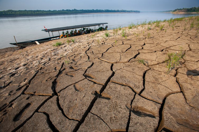 A dry and cracked river bed with rainforest in the distance.