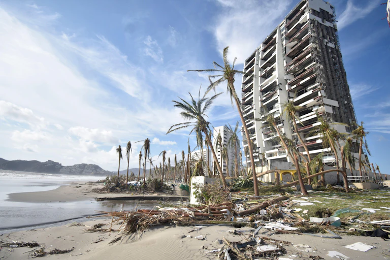 Beach with palm trees and damaged building