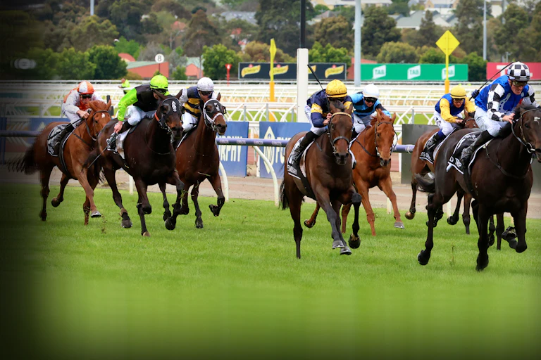 Horses at the finisgh line for the 2022 Melbourne Cup