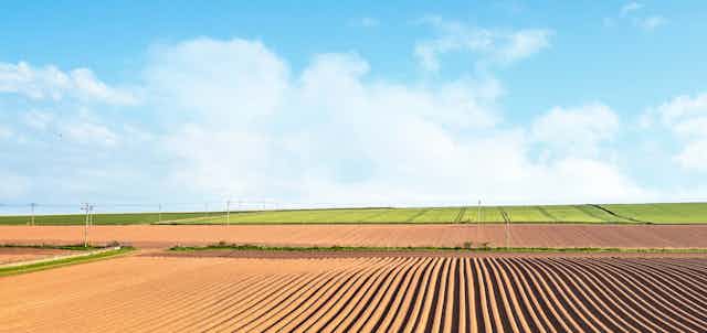 A ploughed field against a sunny sky.