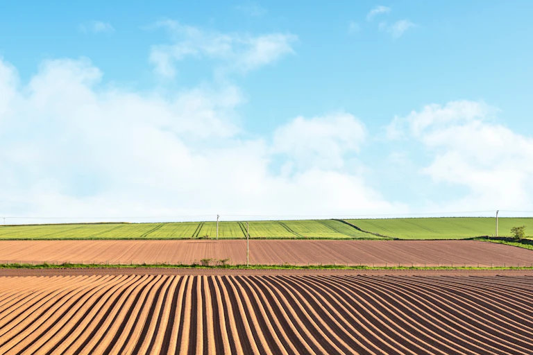 A ploughed field against a sunny sky.