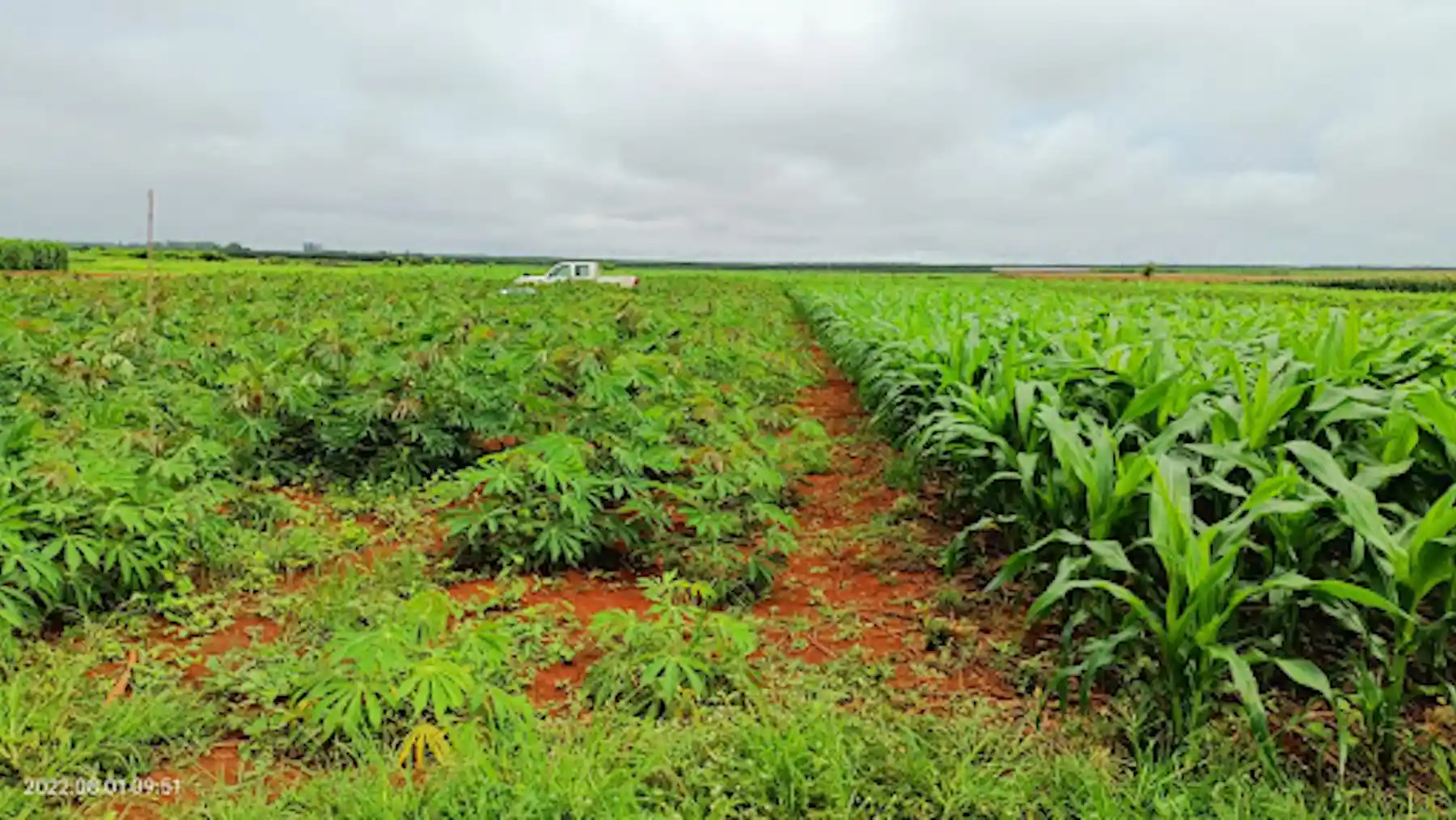 How agriculture can make the most of one of the world’s biggest carbon ...