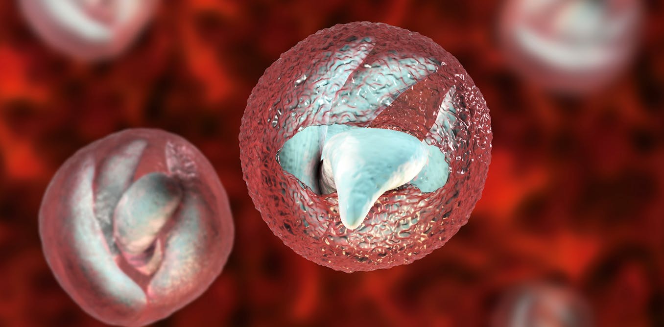 Infections from a diarrhoea-causing parasite are on the rise in the UK ...