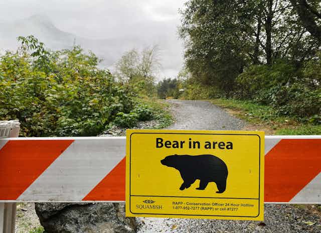 a yellow sign showing a profile of a bear and the text BEAR IN AREA