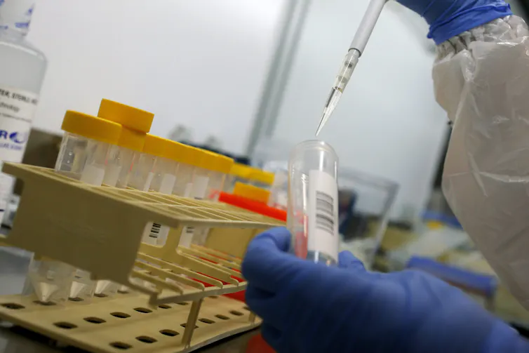 A pair of gloved hands pipes clear liquid into a test tub from a pipette