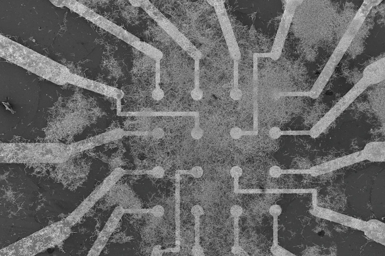 A microscope photo showing a grid of electrodes surrounded by clusters of tiny wires.