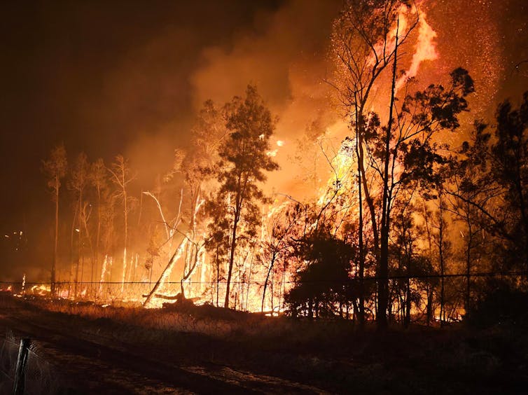burning trees during Queensland spring fires at night time
