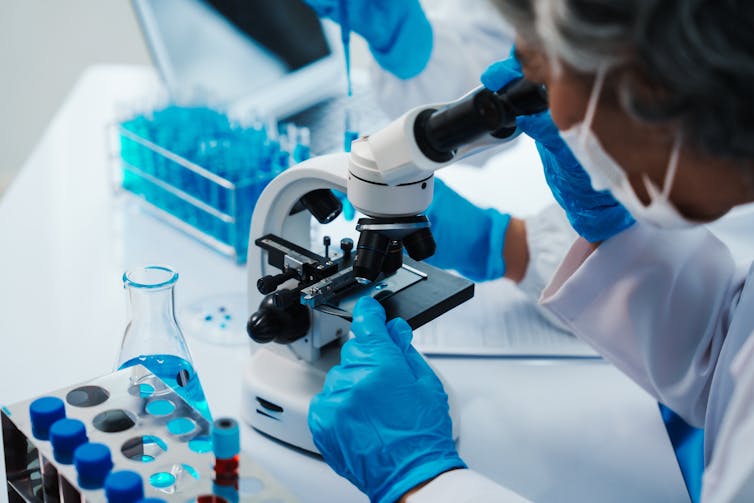 Scientist looks through microscope