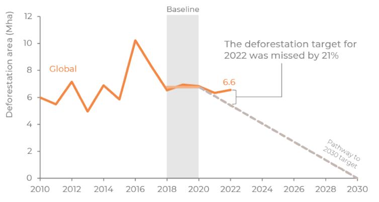 Graph of forest loss per year