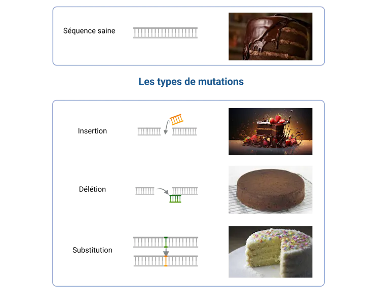 schéma