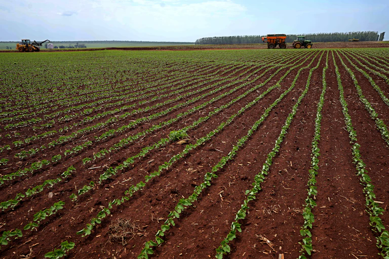 Imenso descampado com plantação de soja sendo tratada por tratores