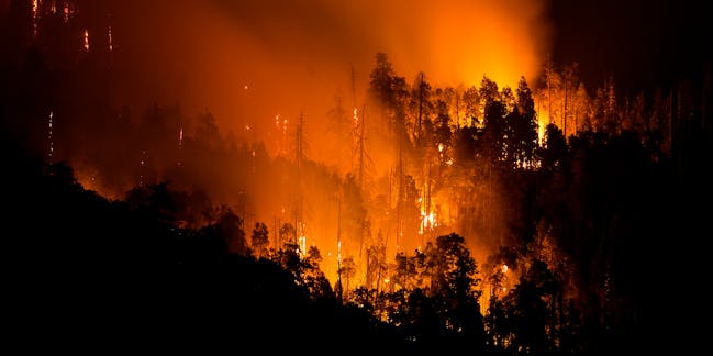 essay on california wildfires