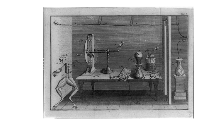 Legs of dissected frogs, and various metallic apparatus used to measure what was thought to be electricity flowing in animals