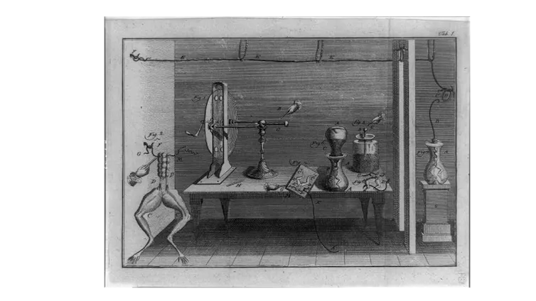 Legs of dissected frogs, and various metallic apparatus used to measure what was thought to be electricity flowing in animals