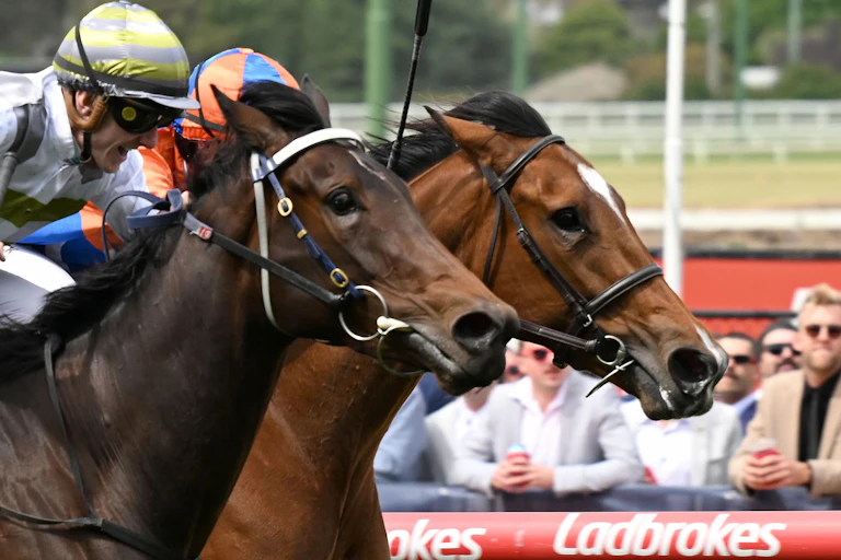 Photo of two nonplussed horses being ridden by excited jockeys.