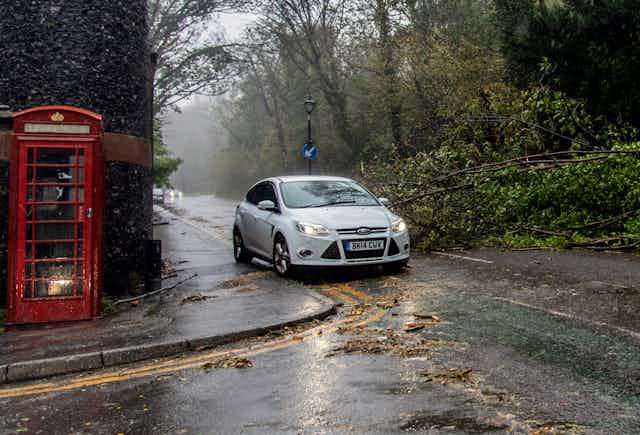 A car pauses at an intersection where a tree has fallen.