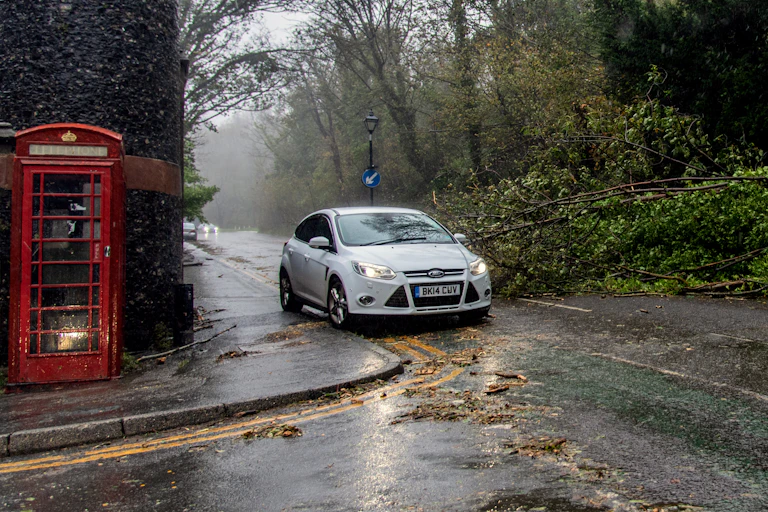 A car pauses at an intersection where a tree has fallen.