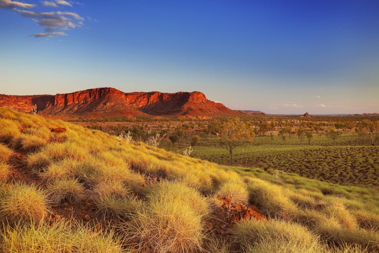 Dry landscape, mountains in background