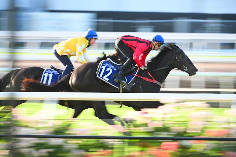 Two horses racing