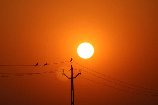 The sun in an orange sky, with power lines and birds in the foreground.