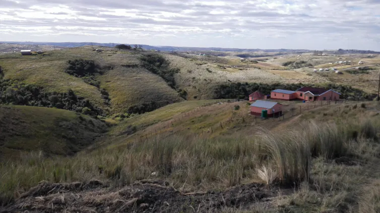 Rolling hills and small houses perched on them, trees in valleys and grasslands.