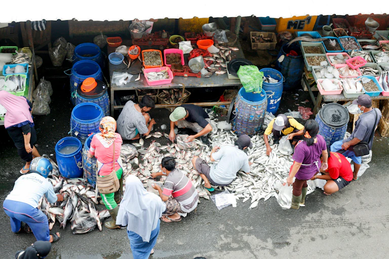 People at a fish market seen from above.