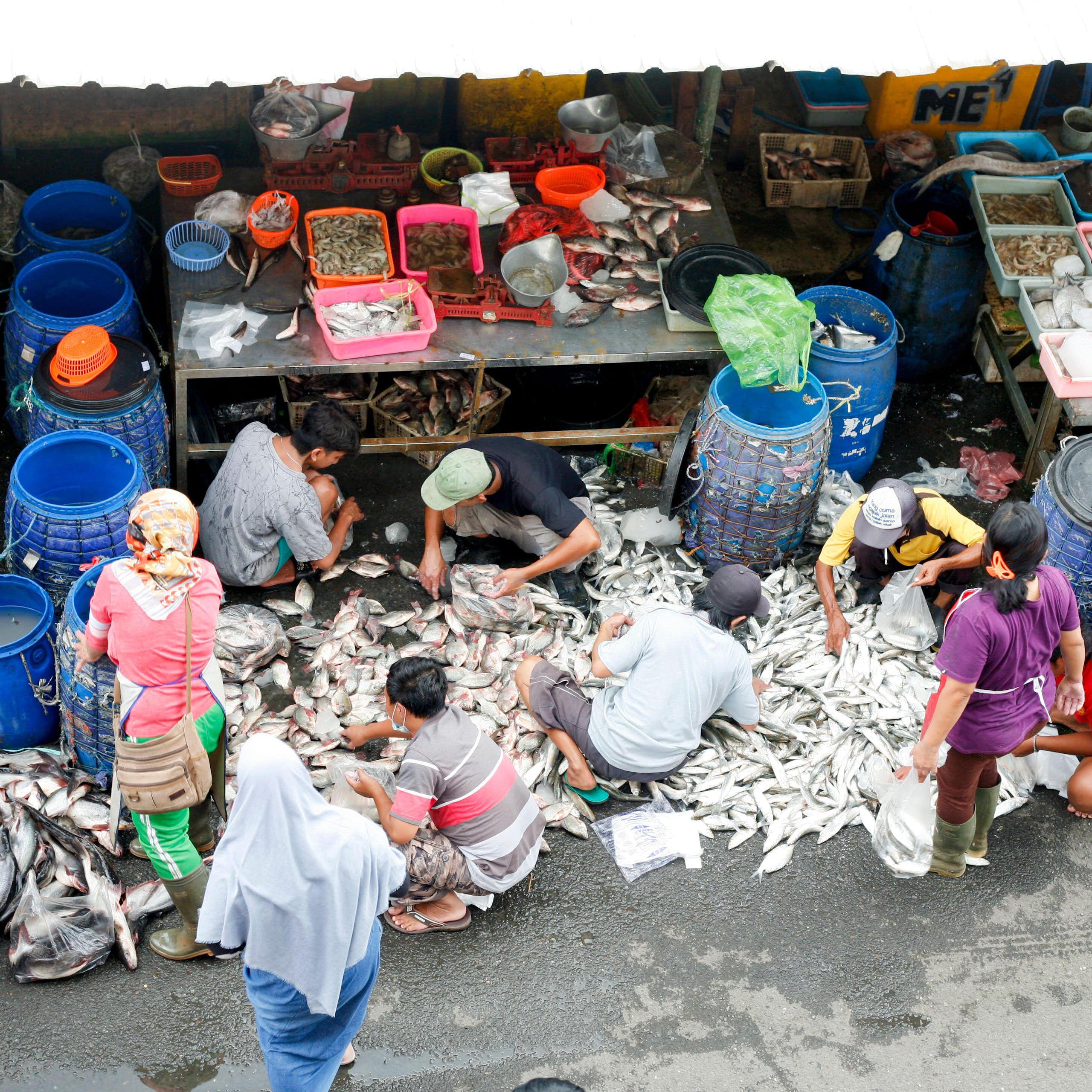 People at a fish market seen from above.
