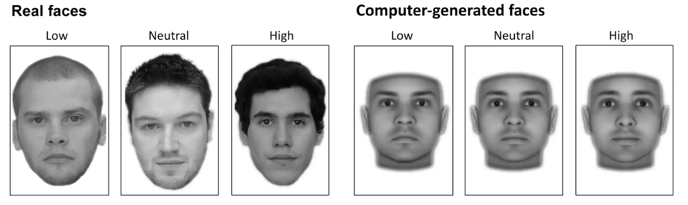 Trust is unconsciously determined, thanks to the amygdala: study