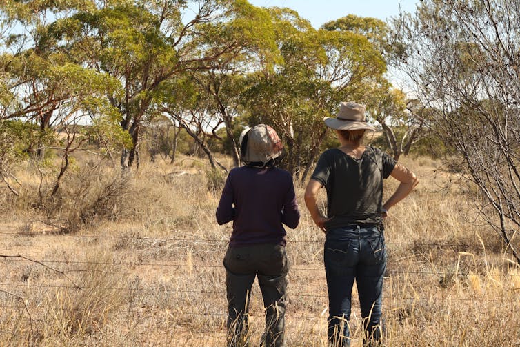 two scientists looking at their revegetation project