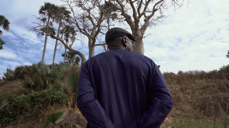 A man in traditional west African robe stands with his back to the camera looking at baobab trees towering above him.