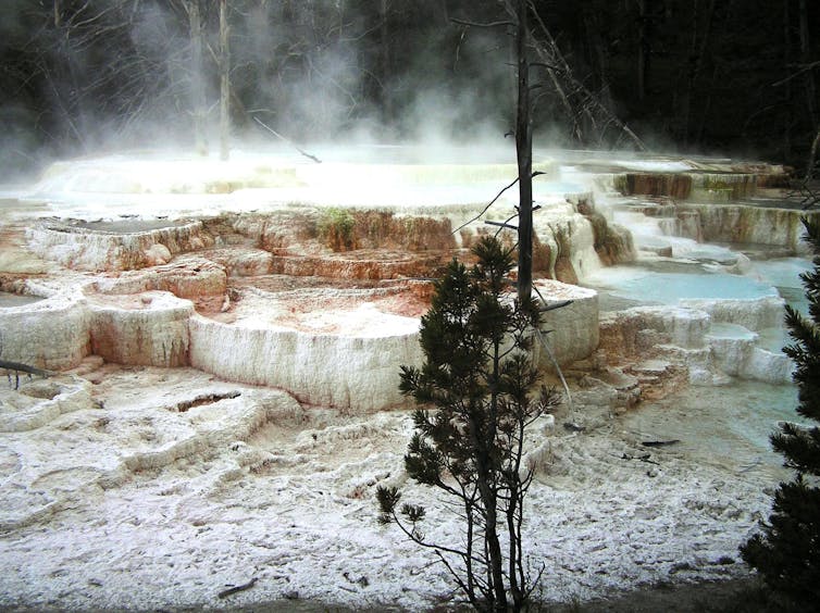 White rock terraces around a vent in the earth's surface releasing steam.