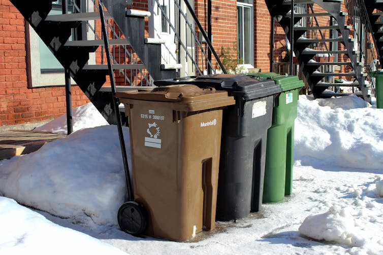 Trois bacs de recyclage alignés sur le trottoir enneigé d’une rue résidentielle