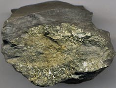 A dark gray rock with a large concentration of shiny yellow material covering part of its surface.