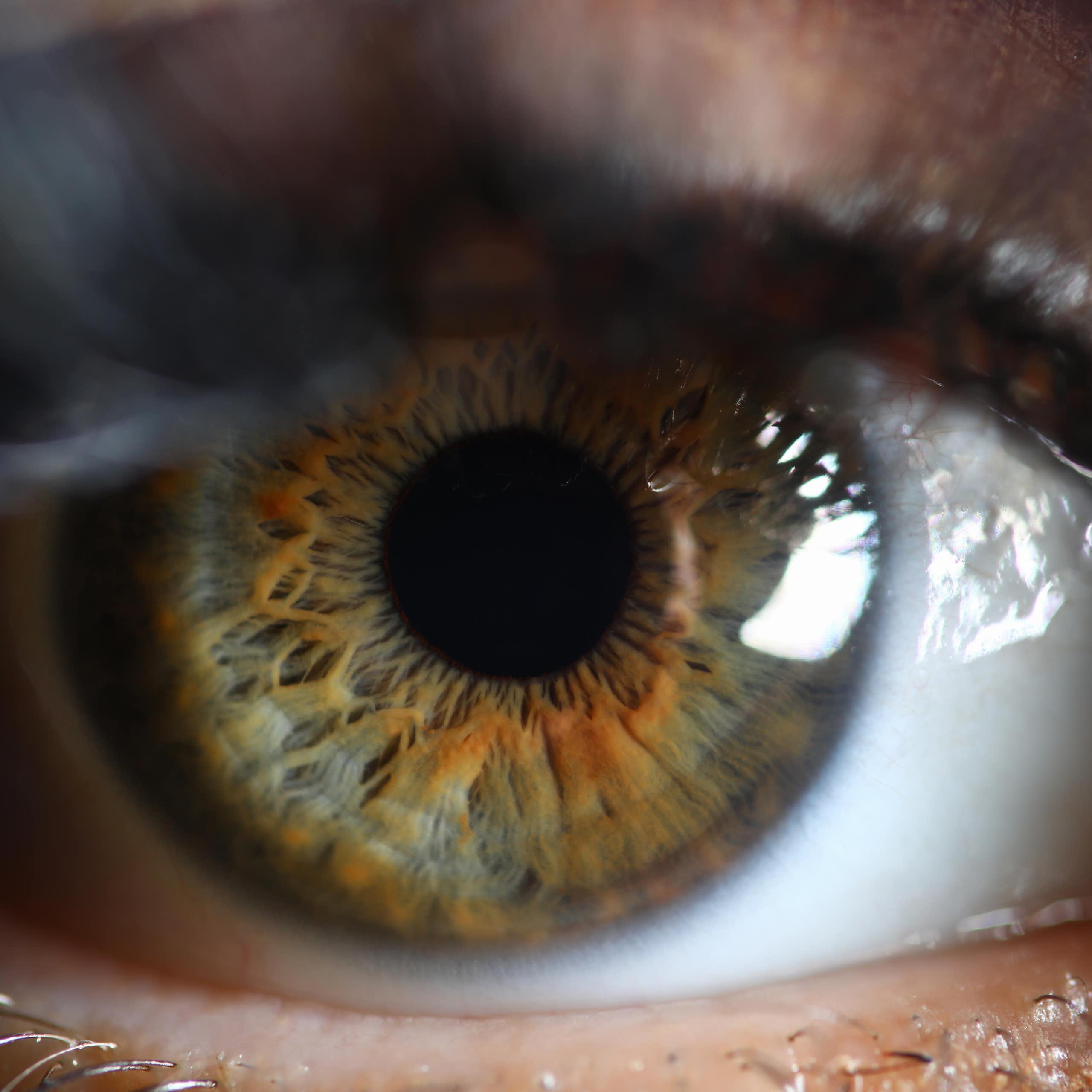 A close-up photograph of a green eye.