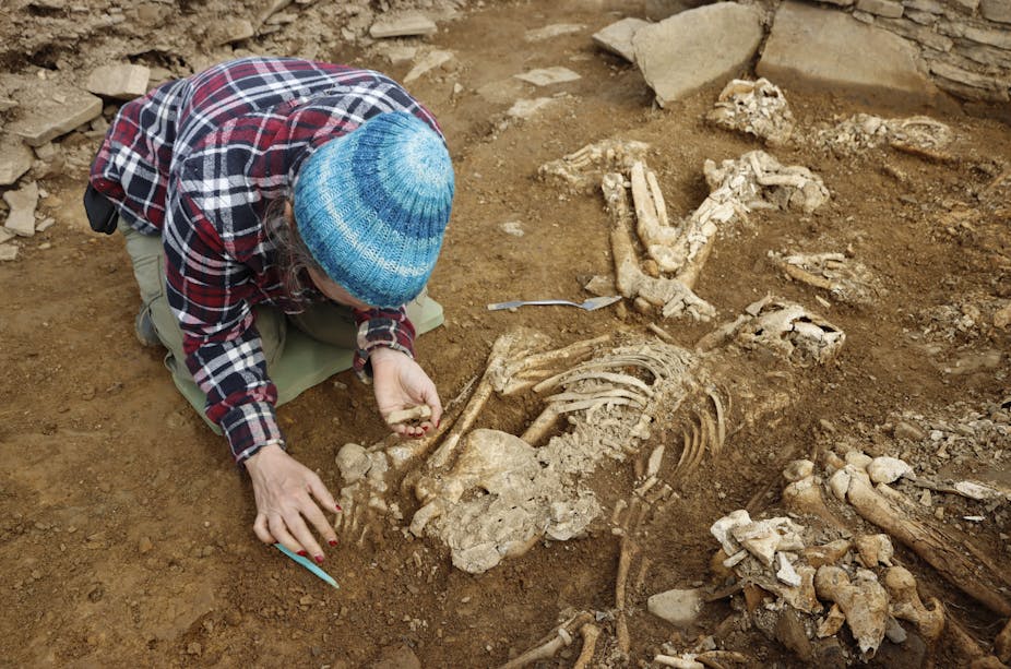 A woman in a beanie hat excavating a skeleton.