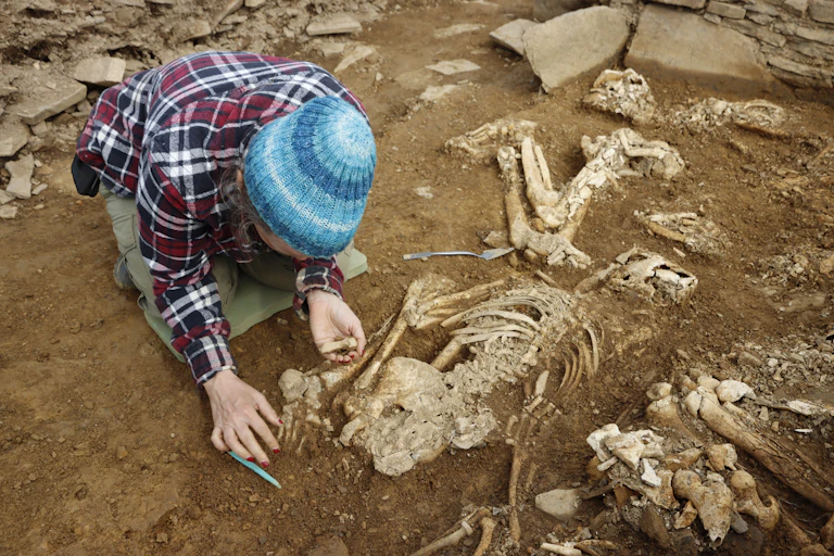 A woman in a beanie hat excavating a skeleton.
