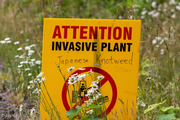 'attention invasive plant' sign