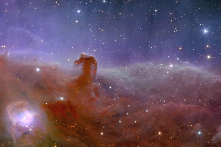la nébuleuse de la tête de cheval vue par Euclid